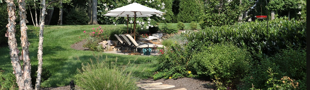 landscaping pathway through greenery - landscaping design in wallingford - burkholder landscape