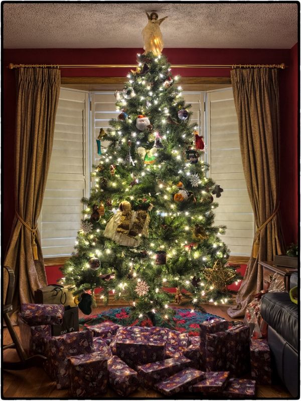 Christmas tree in house surrounded by presents | choosing and care of Christmas trees | Burkholder Brothers