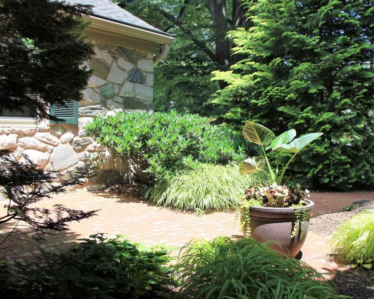 Front Courtyard Plantings | Landscaping | Burkholder Landscape