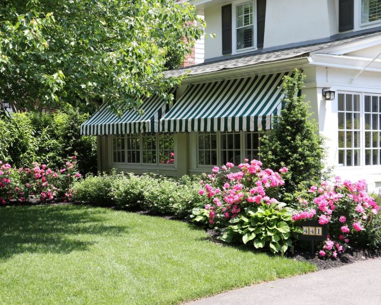Landscaping: Roses and other flowering shrubs add summer color along the Front Foundation giving it that English Garden look