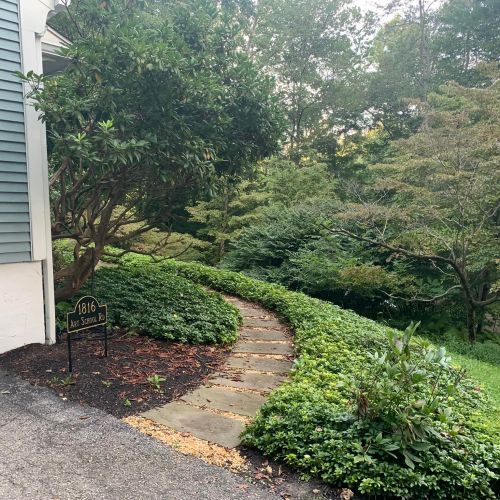 Side of house walkway | Walkways Impact Curb Appeal | Burkholder Landscape