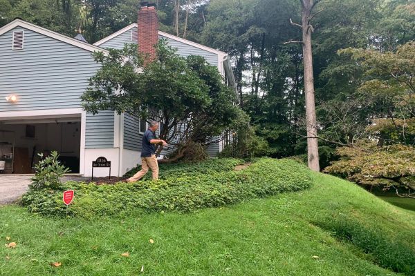 View of side yard before new landscape project | Burkholder Landscape