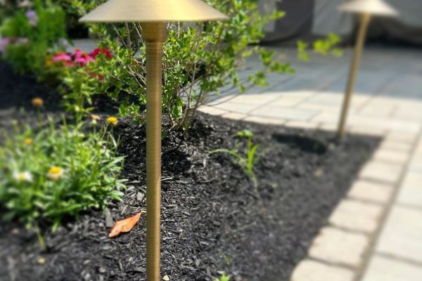 Outdoor lighting in plant bed - Burkholder Landscape