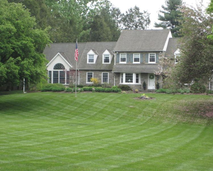 Maintenance Division: Mowing, Lawn Care, Pruning, Mulching & Edging