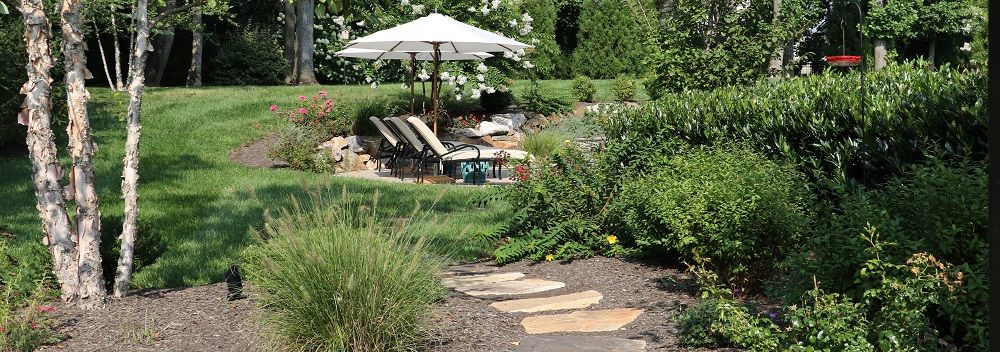 landscaping pathway through greenery - landscaping design in wallingford - burkholder landscape