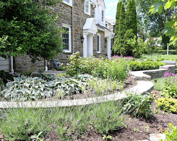Landscaping Front Foundation English Garden Plantings