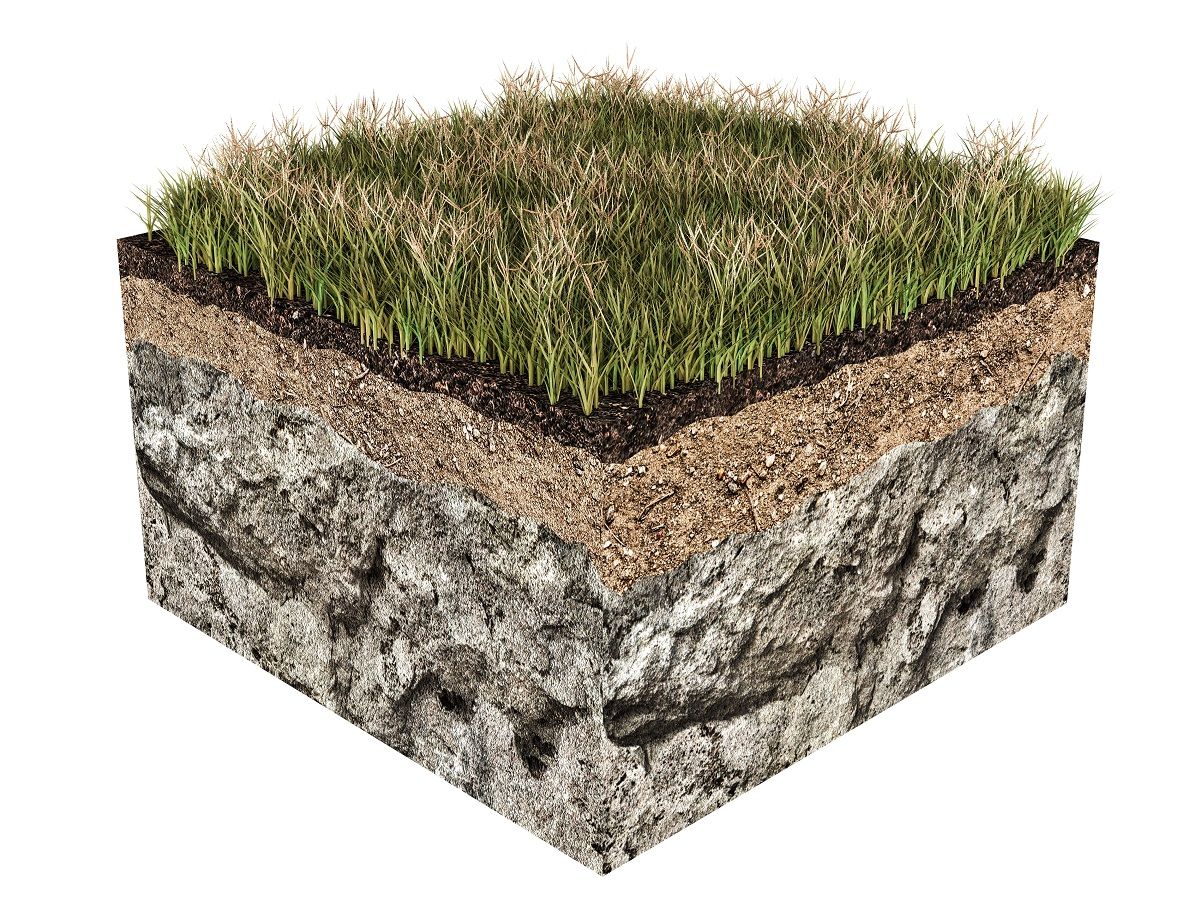 Section of soil and grass | Soil Correction | Burkholder Landscape