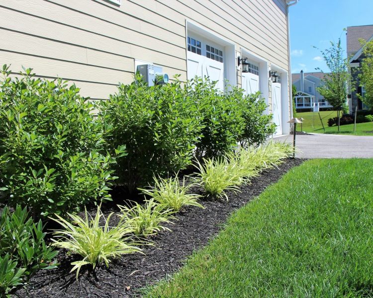 Utility Screening | Landscaping | Burkholder Landscape