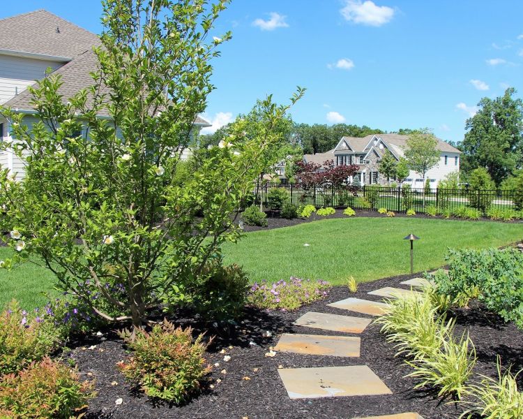 Walkway Screening | Landscaping | Burkholder Landscape