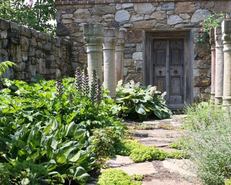 Landscaping: Courtyard Planting