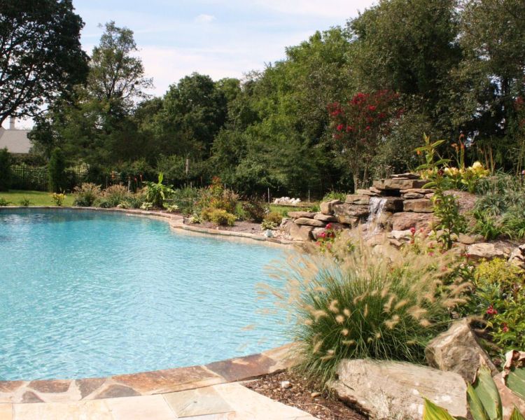 Landscaping (Pool) Ornamental Grasses, Summer flowering Perennials and evergreen Shrubs surround the water feature of this inground pool