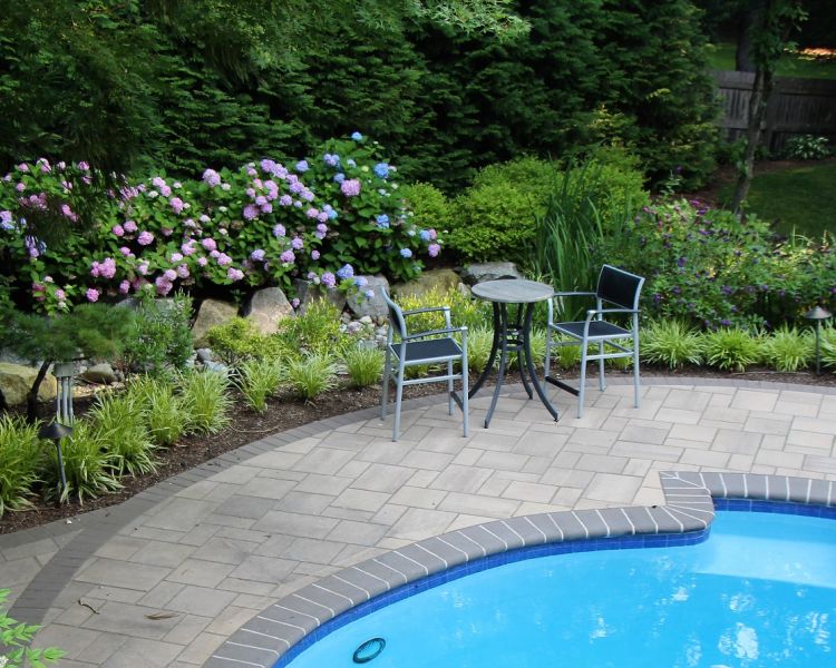 pool surround bordered by lush greenery - Burkholder Landscape