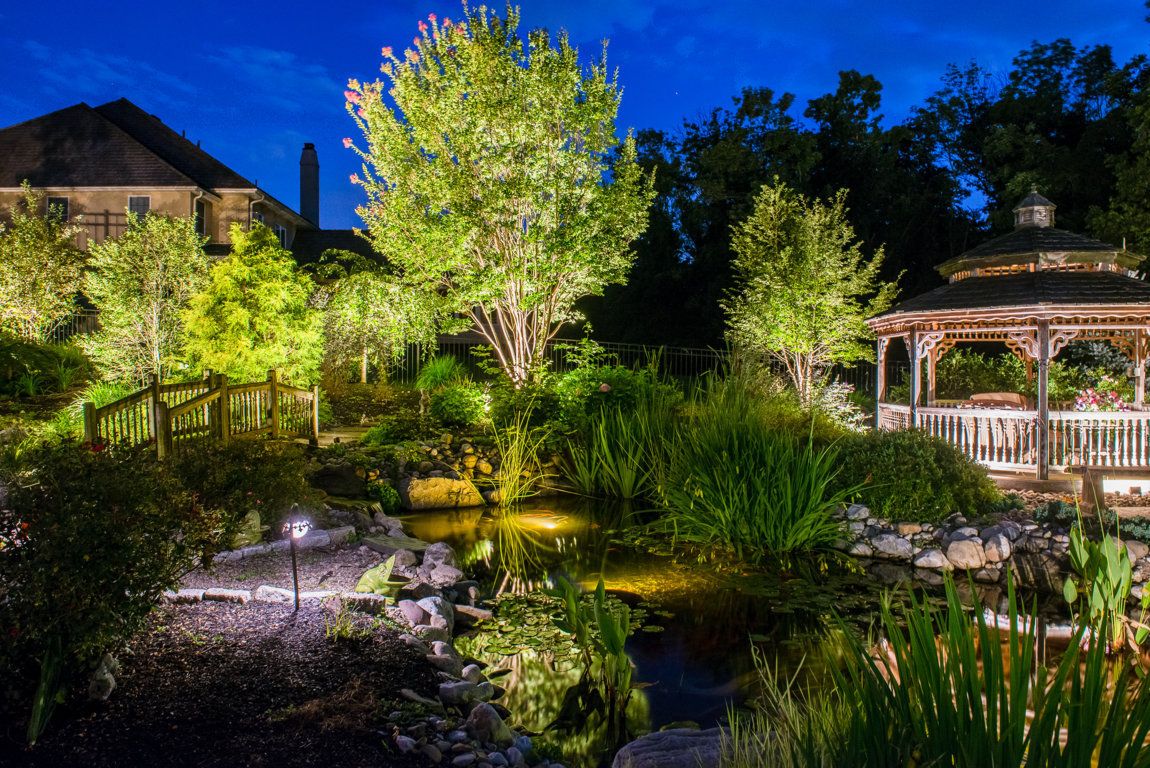 Uplighting on landscape pond | Outdoor Lighting Options by Burkholder Landscape