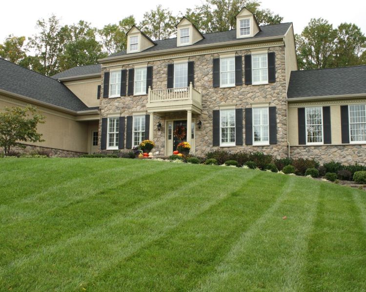 Maintenance Division: Mowing, Lawn Care, Pruning, Mulching & Edging