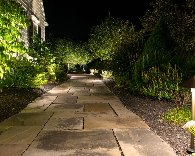 Lighting (Pathway) Up-lighting on trees, path lights and up-lighting to wash foundation of house
