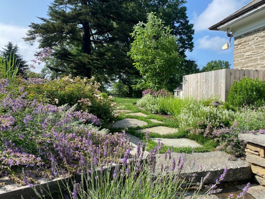 layered plants surrounding a walkway -Investing in Landscape Design - Burkholder Landscape