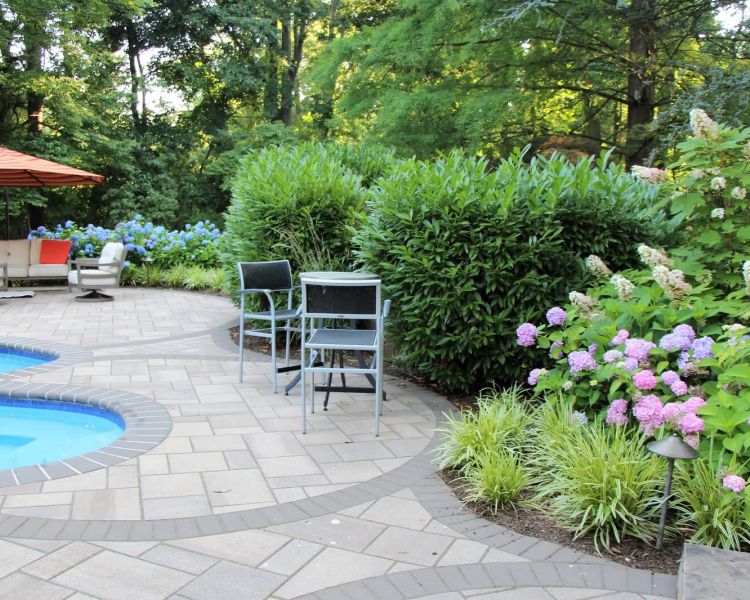 Edge of a blue pool surrounded by a light colored tiled walkway and lush foliage-Burkholder Landscape