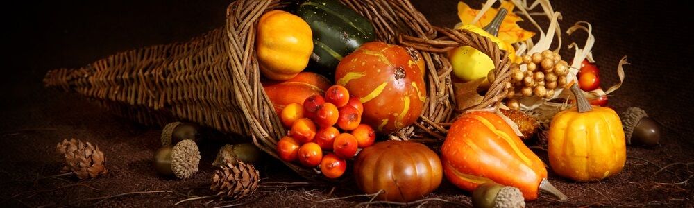 Fall Cornucopia - Favorite Thanksgiving Traditions with Burkholder Landscape