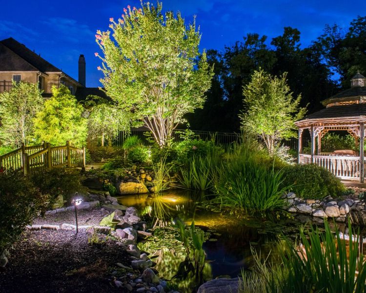 Lighting (Pond) Up-lighting on trees, path lights and Lighting in Gazebo