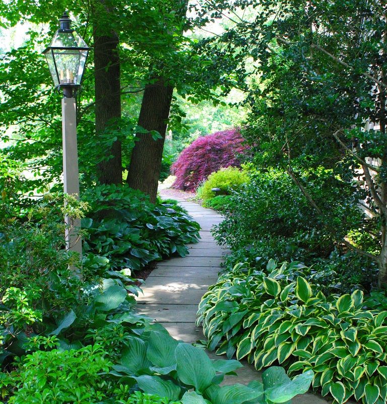 landscape projects - BURKHOLDER - Salu Walkway