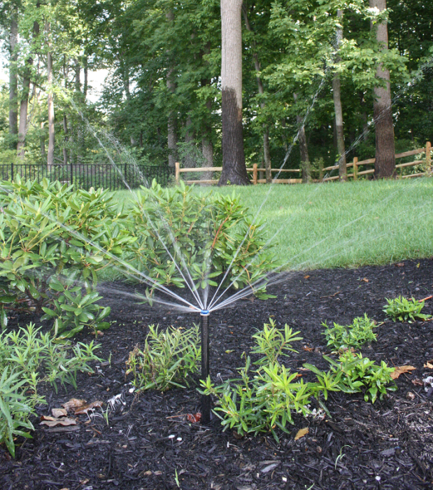 plants in a black mulched bed with  Sir Sprinkler Irrigation System | Burkholder Landscape