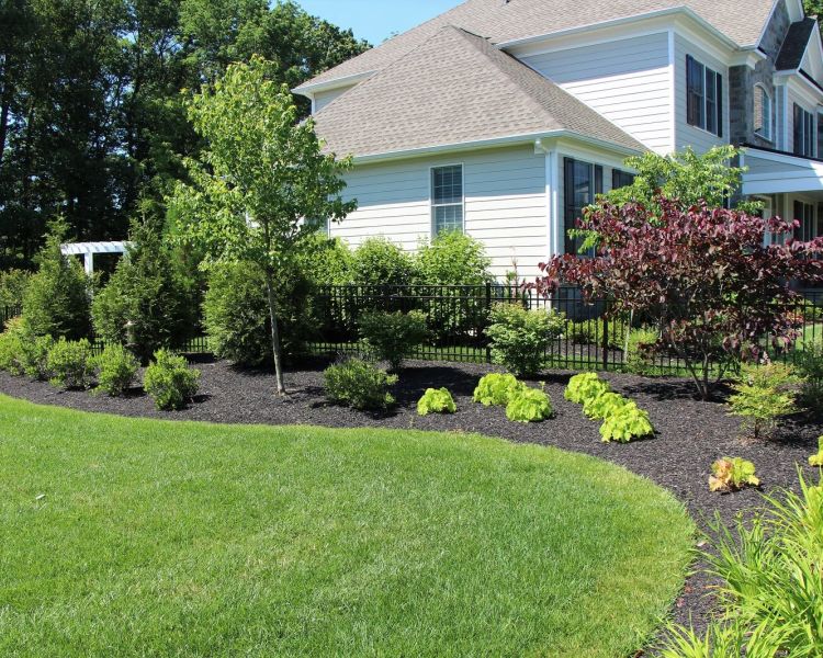 Side Screening | Landscaping | Burkholder Landscape