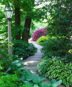 Custom Walkways path through lush plants and trees