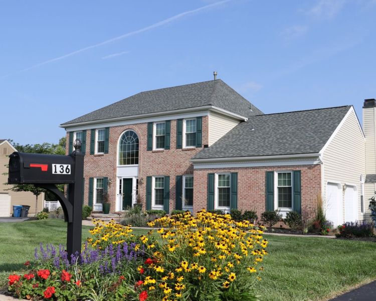 Landscaping: Mailbox Planting