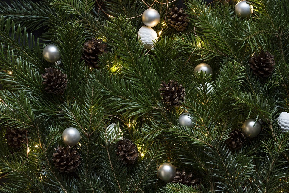 christmas tree specials