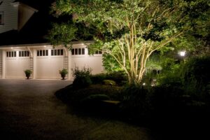 Outdoor Up Lighting for Beauty and Security - Mull UpLights on Multi-stem Tree - Burkholder