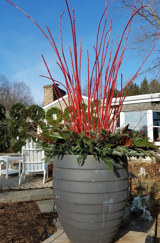 Christmas Container Garden at the Burkholder Holiday Pop Up Market 12-1-18