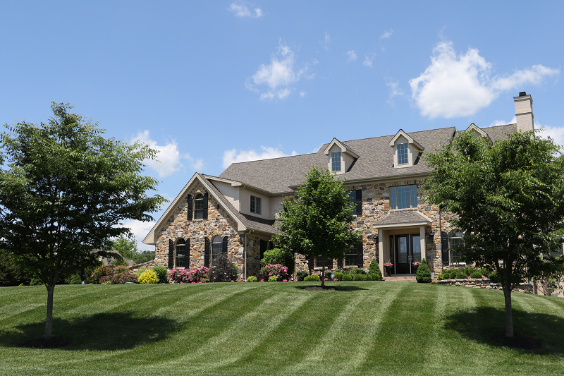 Front yard of house with trees | February landscaping tips | Burkholder Brothers