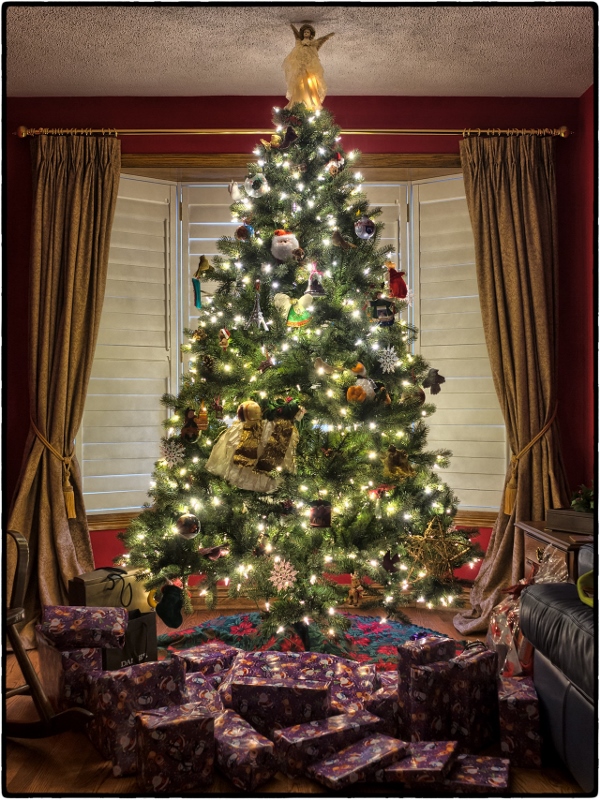 Fresh Christmas tree in a room with presents