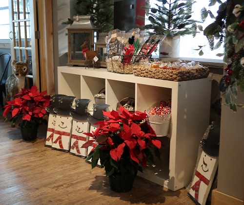 Shelf of snowmen poinsettias | Fun Holiday Things to Do | Burkholder Holiday Market