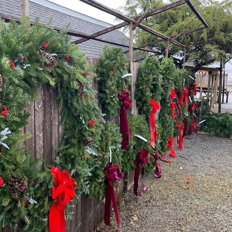 Wreaths hanging on fence at market | 2020 Holiday Market | Burkholder Brothers