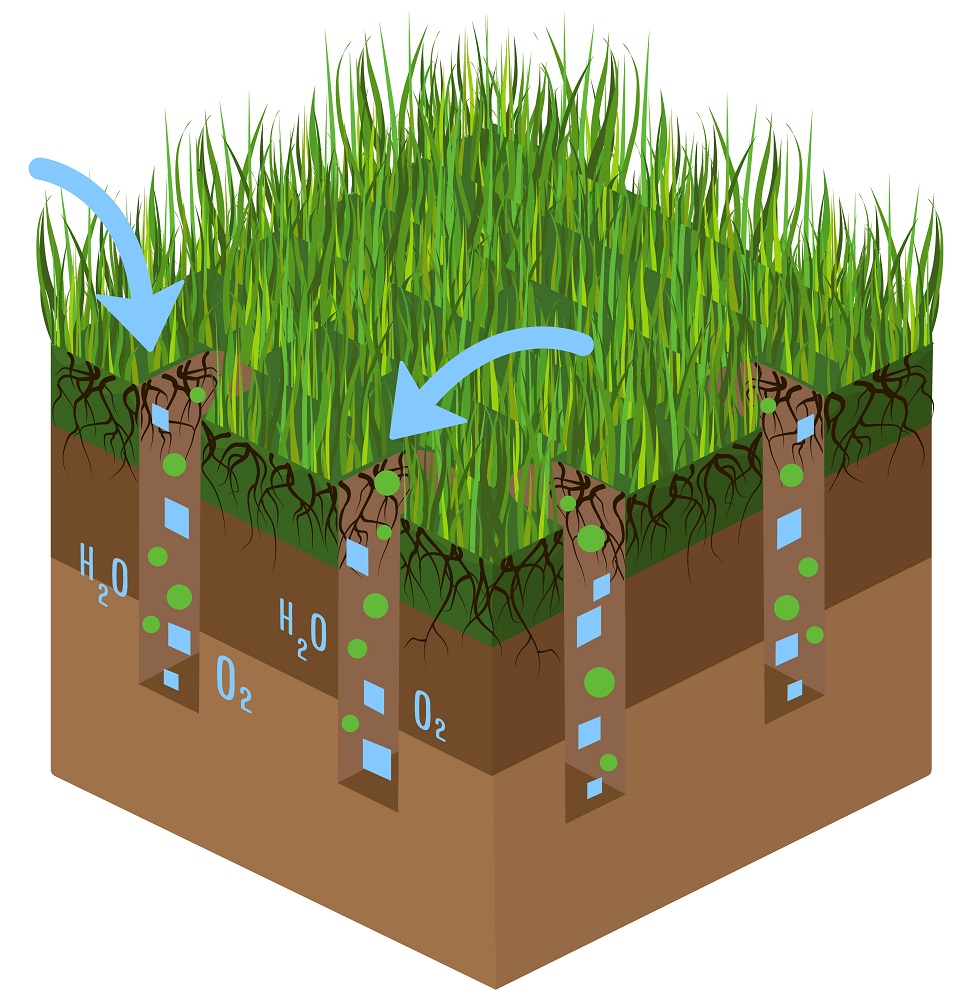 picture of soil and grass layers | aeration and overseeding | Burkholder Brothers Landscaping