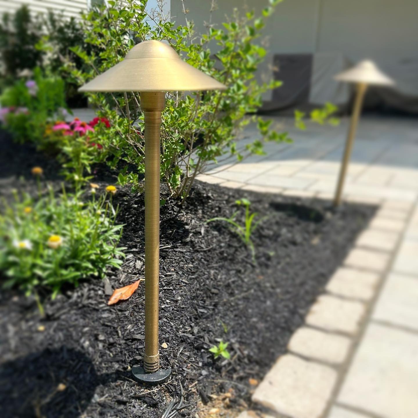 Outdoor lighting in plant bed - Burkholder Landscape