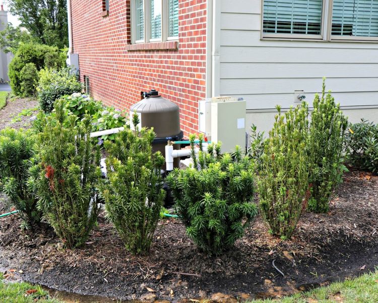 Pools and Spas Pool Equipment Screening