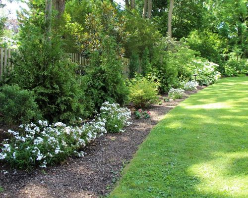 Border Plantings | Landscaping | Burkholder Landscape